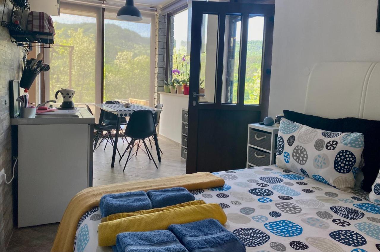 Apartman Verona Buzet Exterior photo