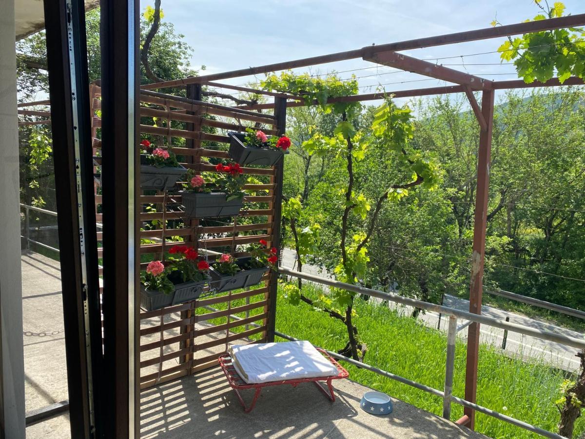 Apartman Verona Buzet Exterior photo