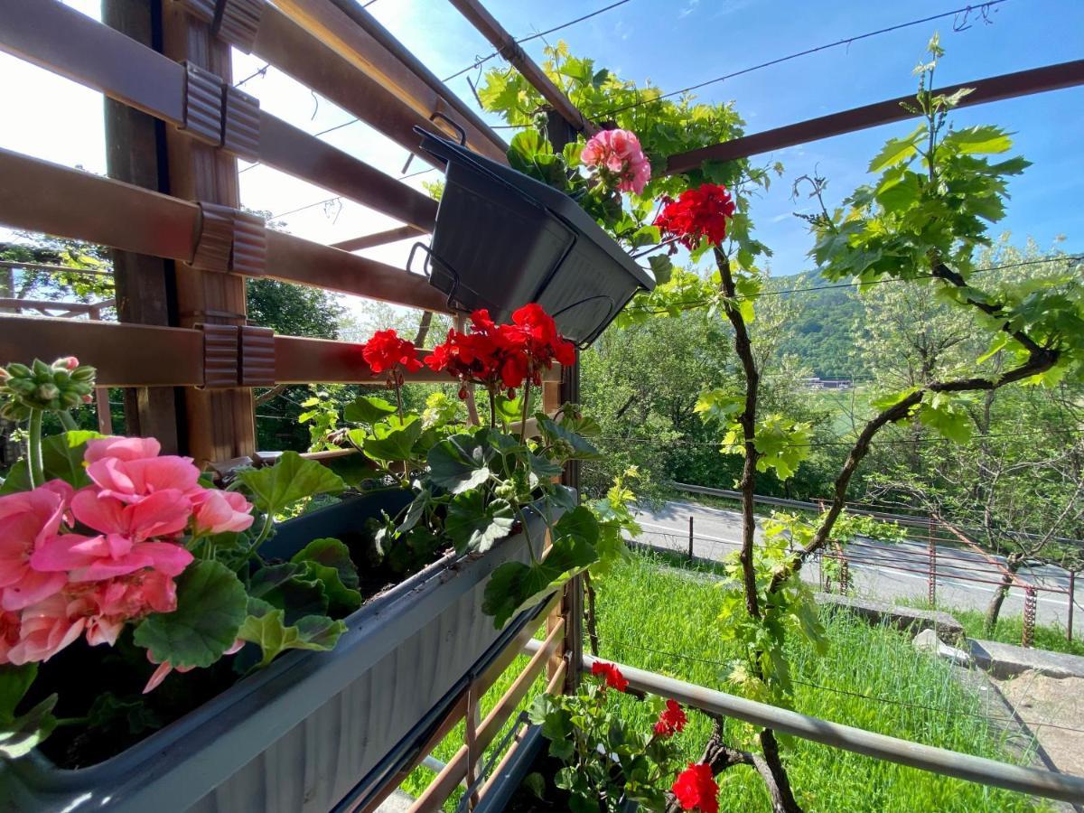 Apartman Verona Buzet Exterior photo